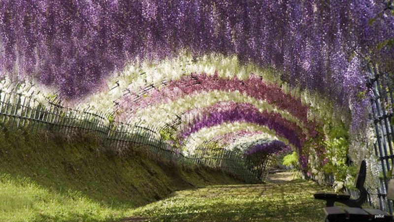 Illustration for article titled These Extraordinary Tunnels Look Like Gateways to Other Worlds
